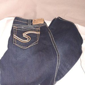 Woman`s Silver Frances 22" Jeans.